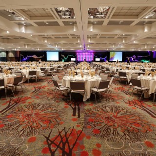DECC Arena photo